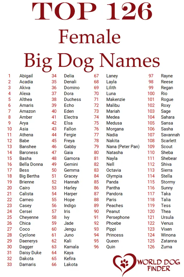 Female big dog names