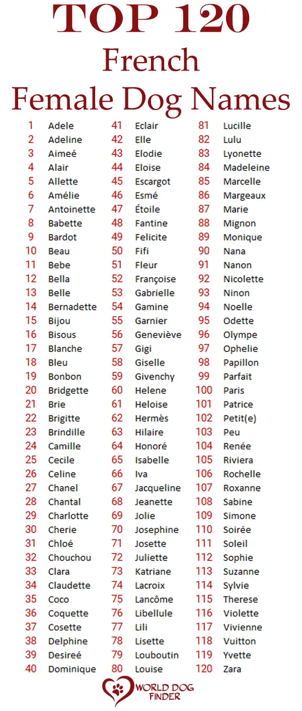 female french dog names