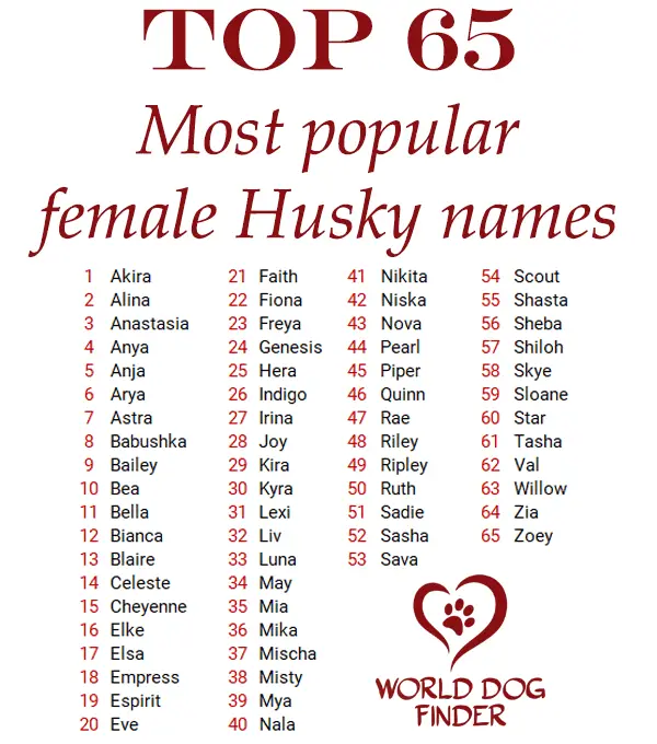 female husky names