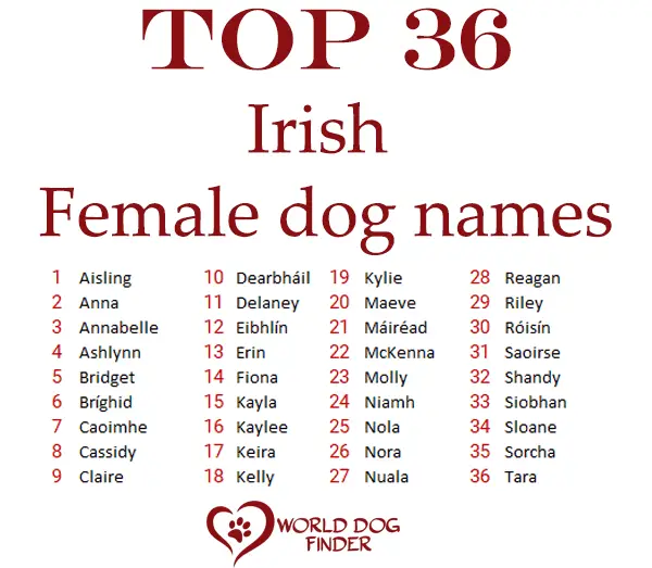 female irish dog names