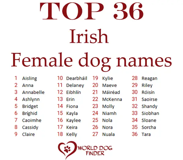 Nombres de perros irlandeses femeninos