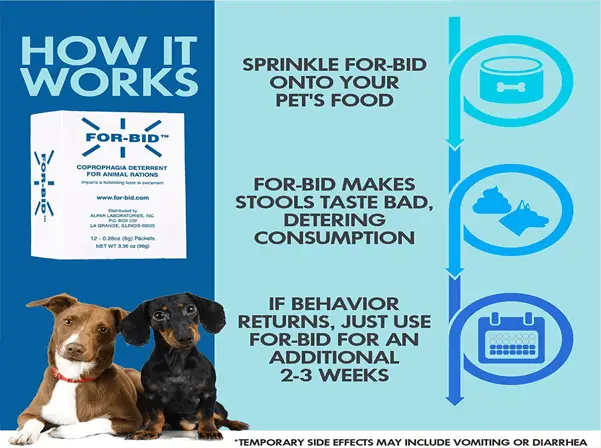 For-Bid For Dogs - Usage & Effectiveness