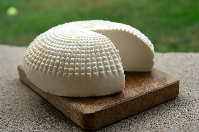 queso fresco de una granja