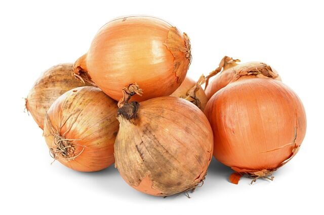 fresh onions