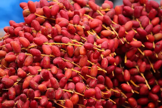 dátiles rojos frescos