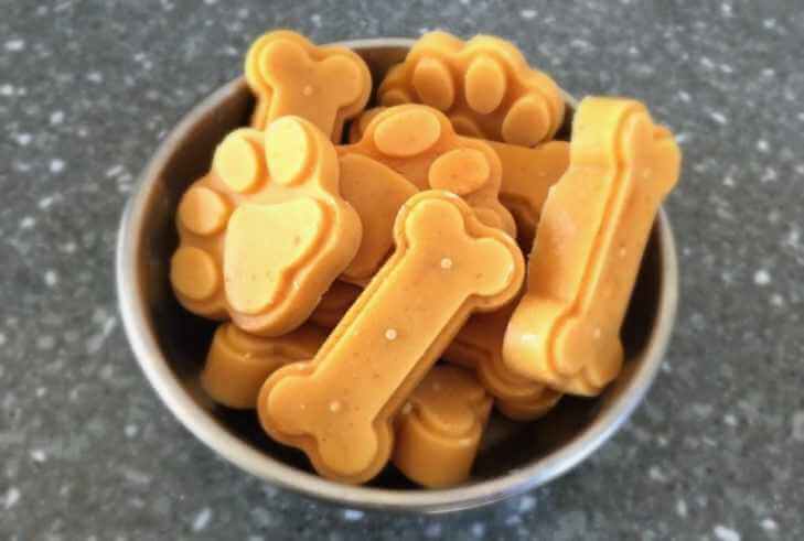 frozen pumpkin dog treats