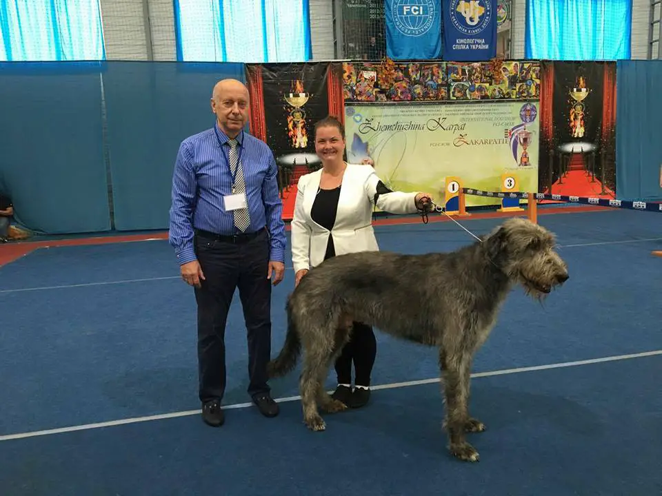 Georgiy Onishchenko judging