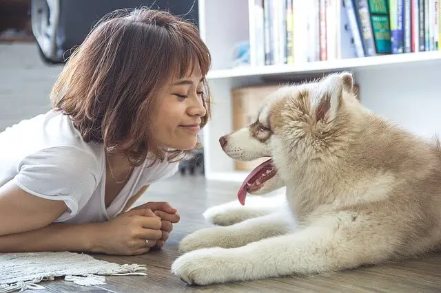 niña y perro