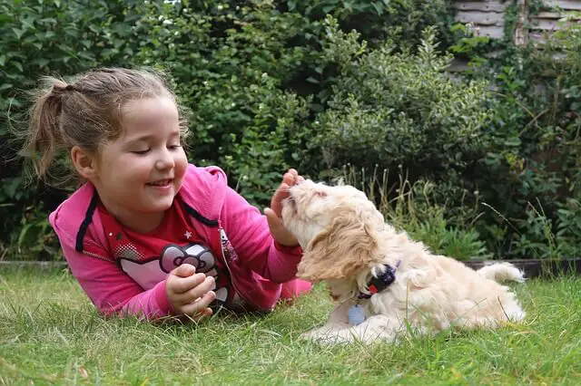 girl with a puppy