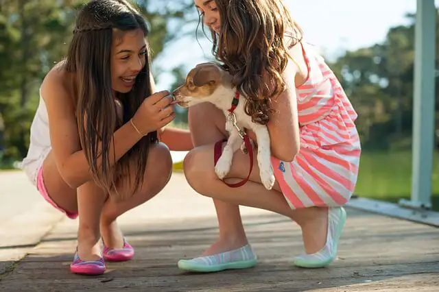 girls playing with a puppy