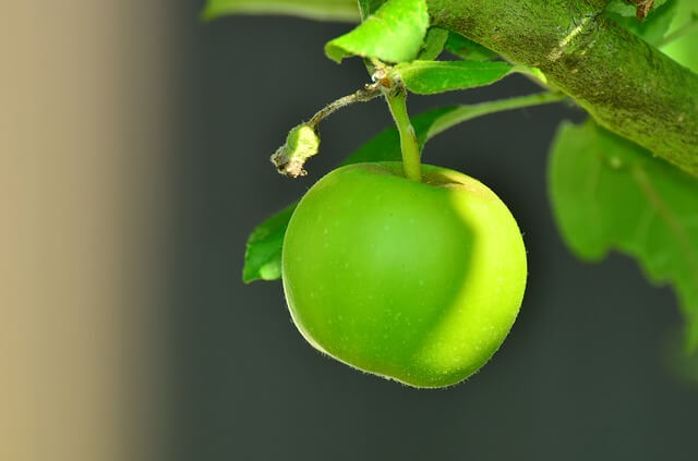 green apple