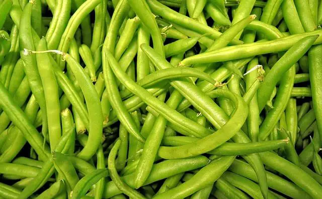 green beans closeup
