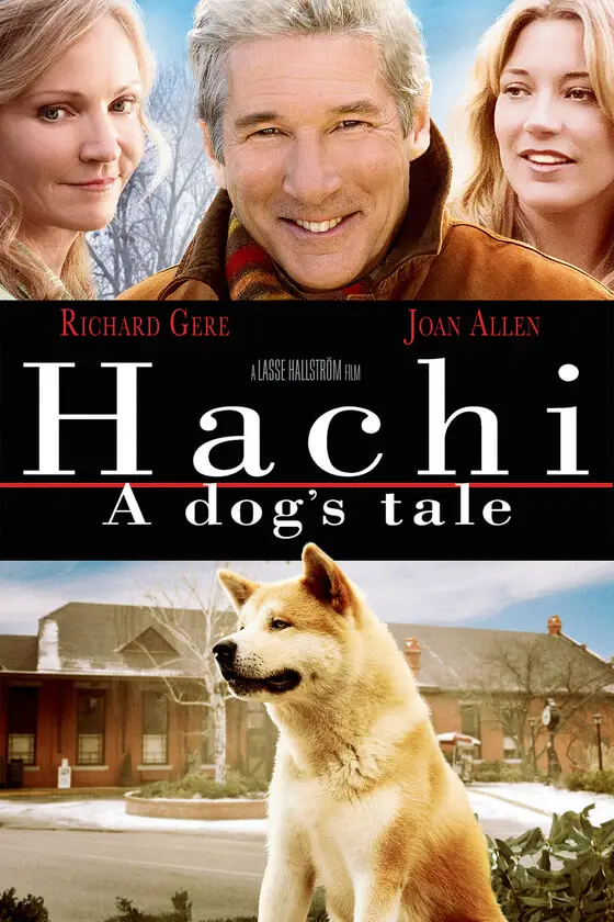 hachi movie