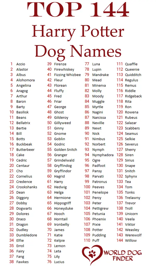 harry potter dog names