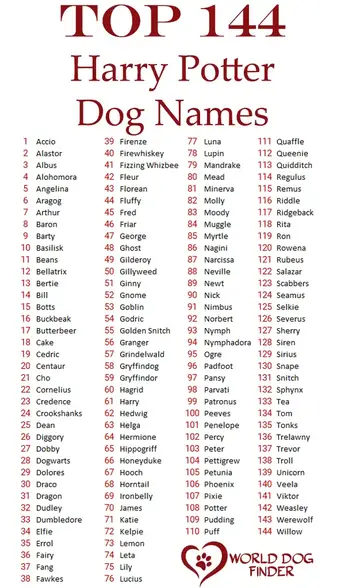 Top 144 Harry Potter Dog Names