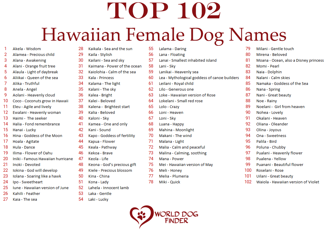 Hawaiian dog names discount