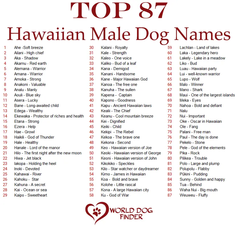 hawaiian male dog names