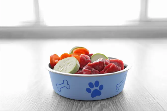 healthy dog food