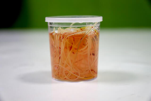 heartworm in jar