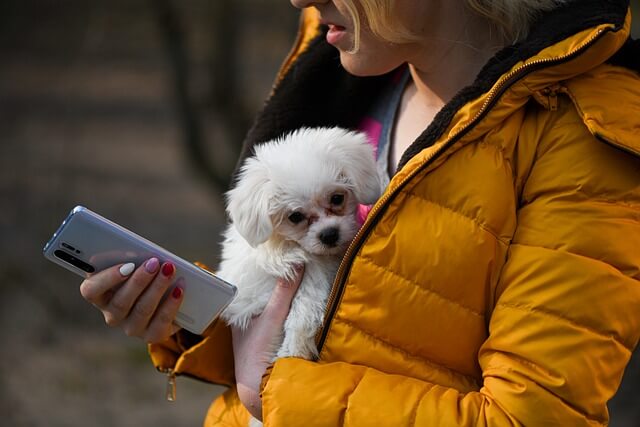 holding a dog