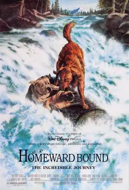 Homeward Bound movie