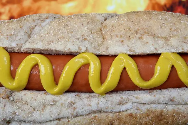 hot dog closeup
