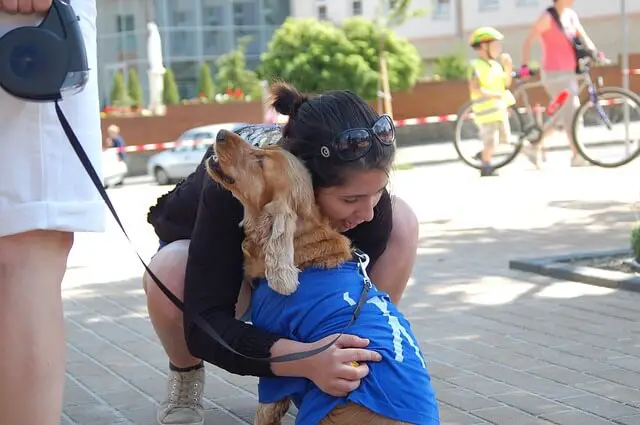 umano e cocker spaniel