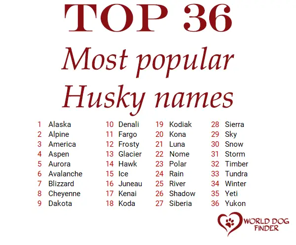 husky names