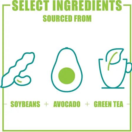 ingredients in dasuquin