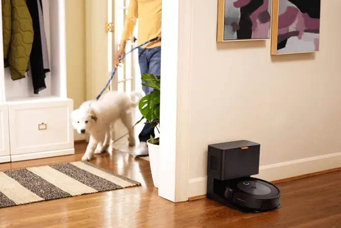 iRobot Roomba and dog