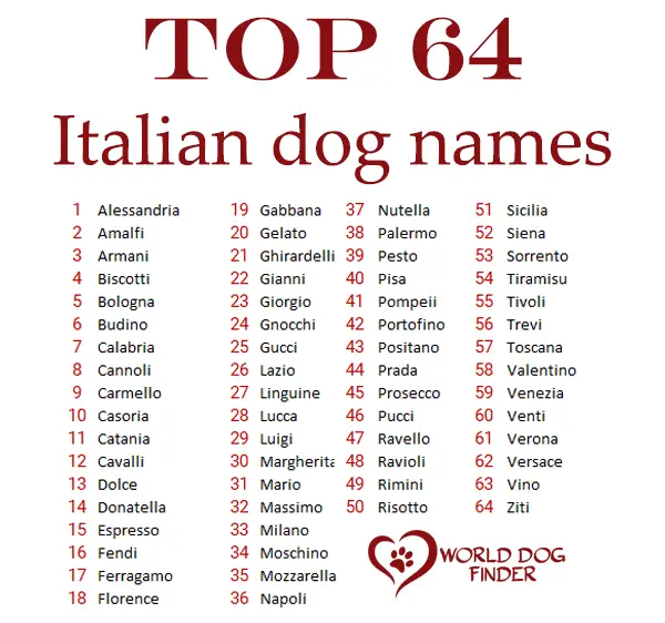 Nombres de perros italianos inspirados en la moda, la geografía, las celebridades y la cocina italianas