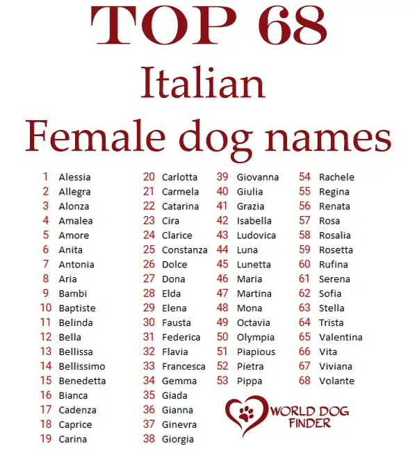 Nombres de perros italianos femeninos