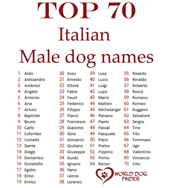 italian male dog names