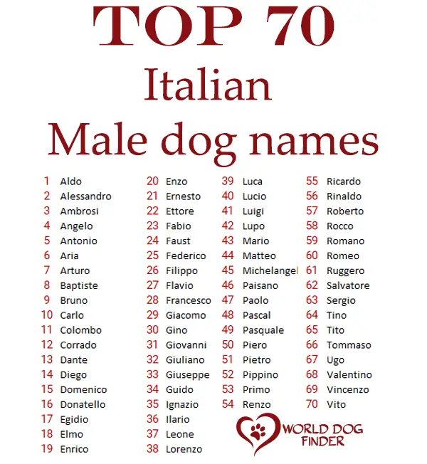 Nombres de perros machos italianos