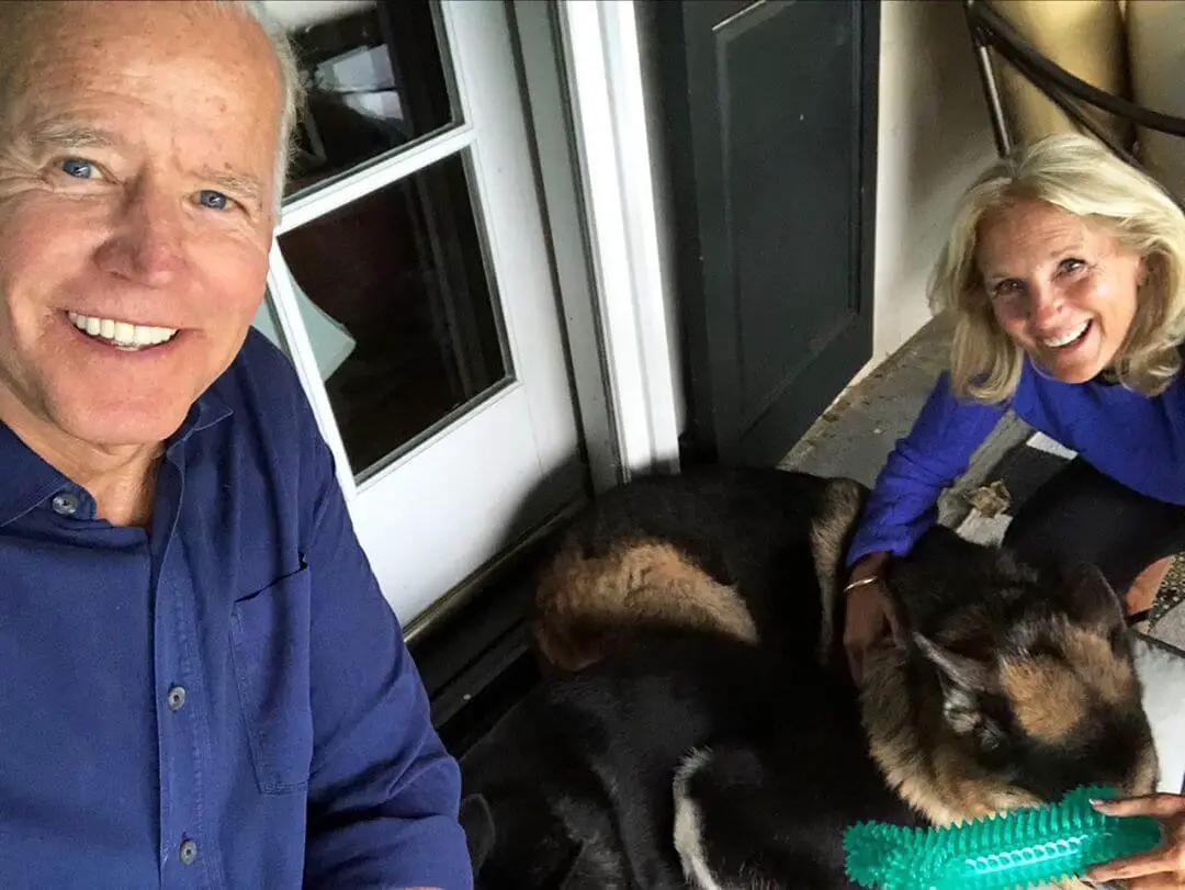 jill joe and champ biden