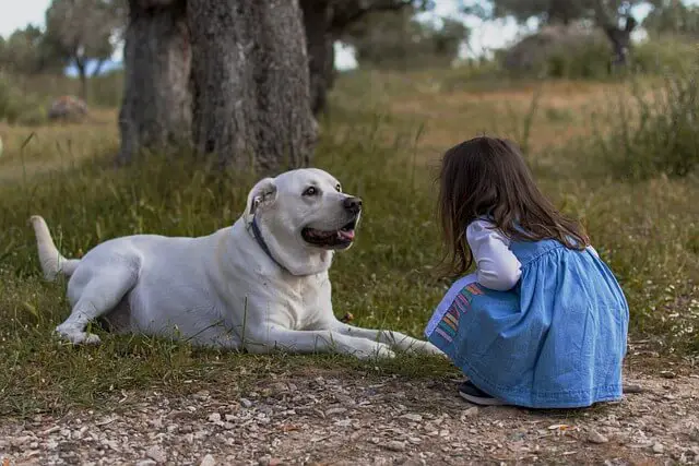 kid approaching a dog