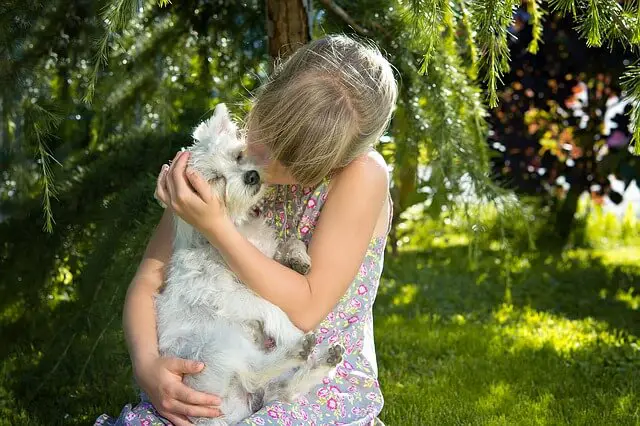 kid hugging dog