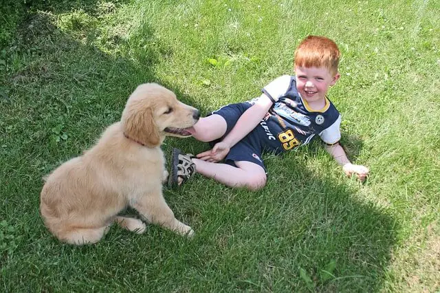 kid with dog