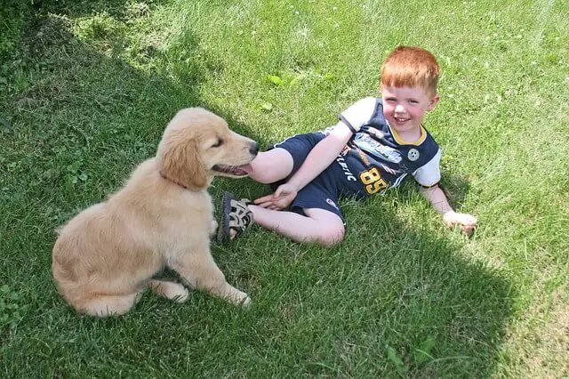 bambino con il cane