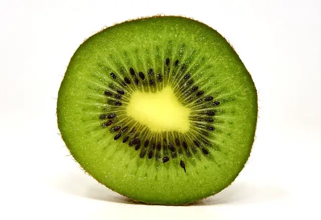 kiwi