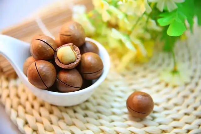 Nueces de macadamia