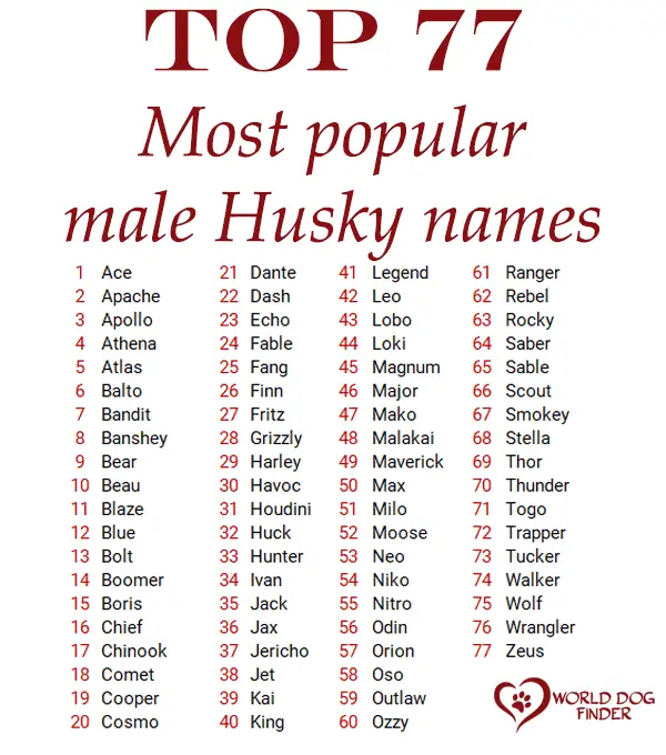 male husky names