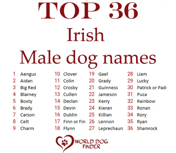 Nombres de perros irlandeses masculinos