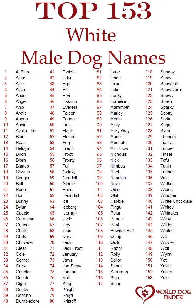 Male white dog names