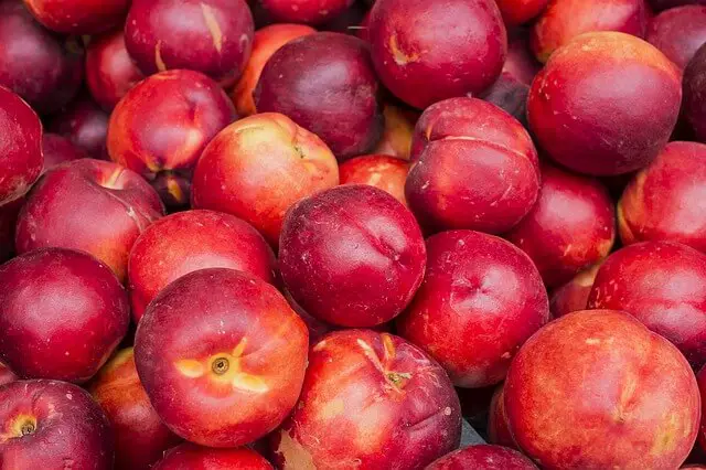 nectarines closeup