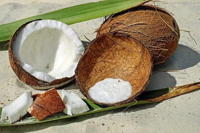 open coconuts