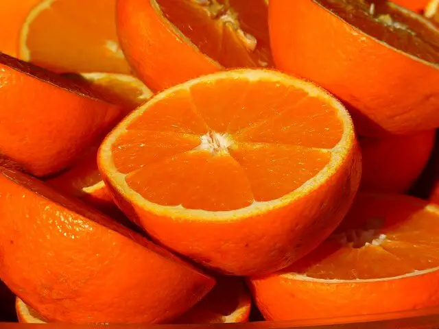 oranges closeup