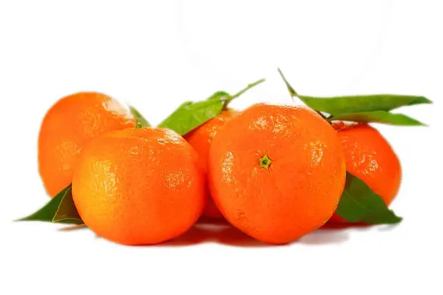 oranges with leaf