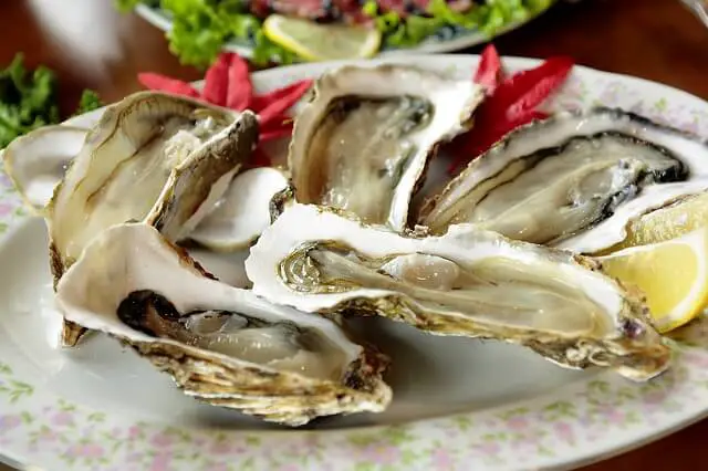 oyster portion