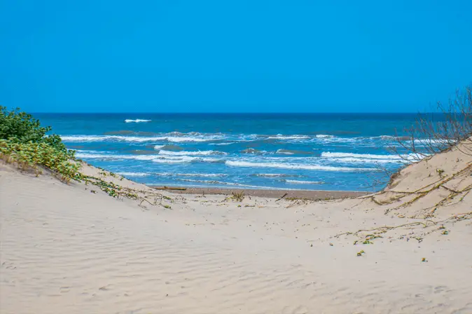 Padre Island National Seashore